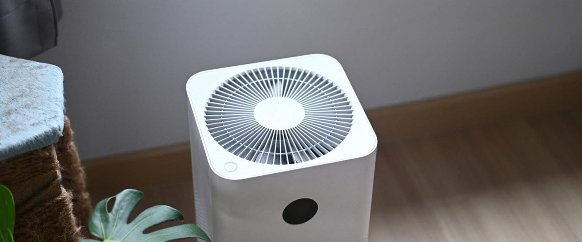The Ultimate Guide to Air Purifiers: What You Need to Know