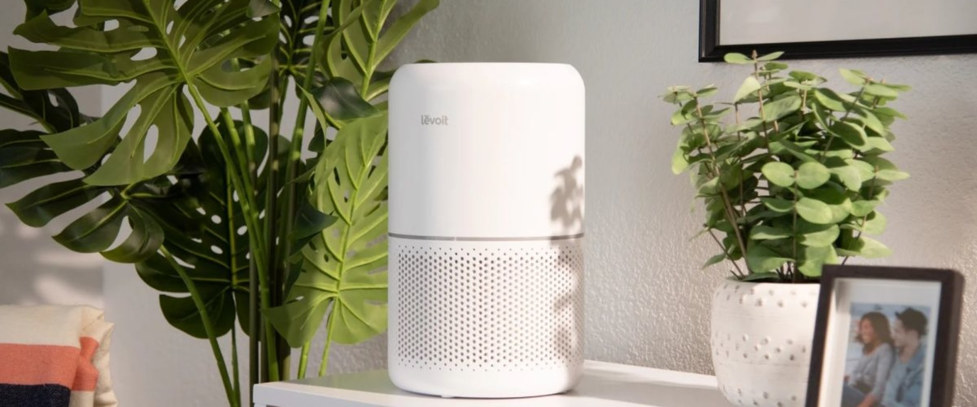Maximizing the Effectiveness of Air Purifiers: Expert Insights on Optimal Placement
