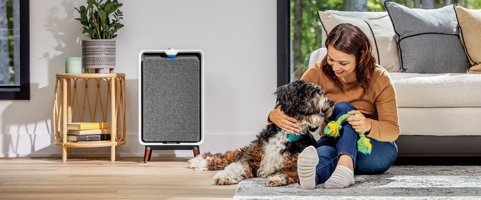 The Truth About Using Air Purifiers in Closed Rooms: An Expert's Perspective
