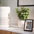 The Best Placement for an Air Purifier