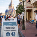 Can Hand Sanitizer Prevent Norovirus at Disney World?