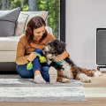 The Truth About Using Air Purifiers in Closed Rooms: An Expert's Perspective