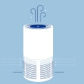 The Impact of Air Purifiers: How Long Does It Take to See Results?