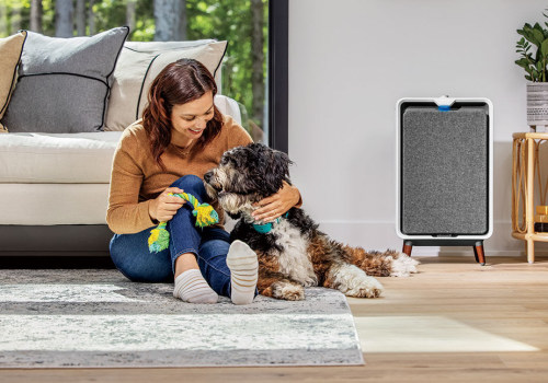 The Truth About Using Air Purifiers in Closed Rooms: An Expert's Perspective